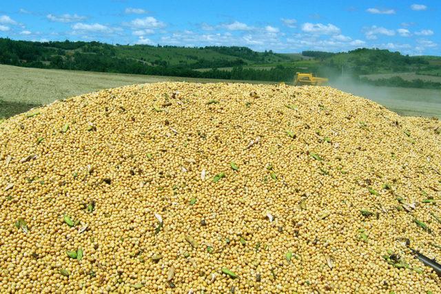 Soja acompanha altas das demais commodities agrícolas e sobe mais de 1 por cento em Chicago