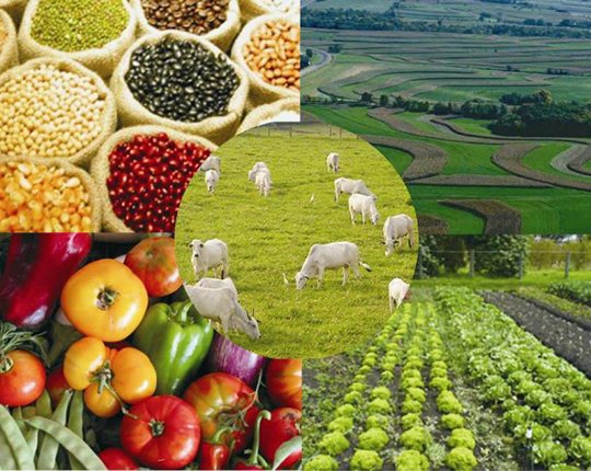 Exportações do Agro superam US$ 102,3 bilhões e batem recorde anual faltando ainda dois meses