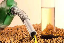 Brasil fixa mistura de biodiesel a 10 por cento em 2022; setor vê destruição de programa