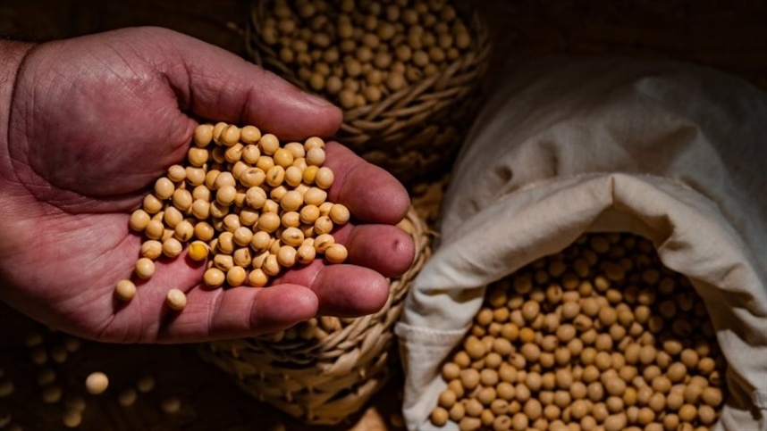 Soja fecha semana em alta com expectativa de compras da China nos EUA.