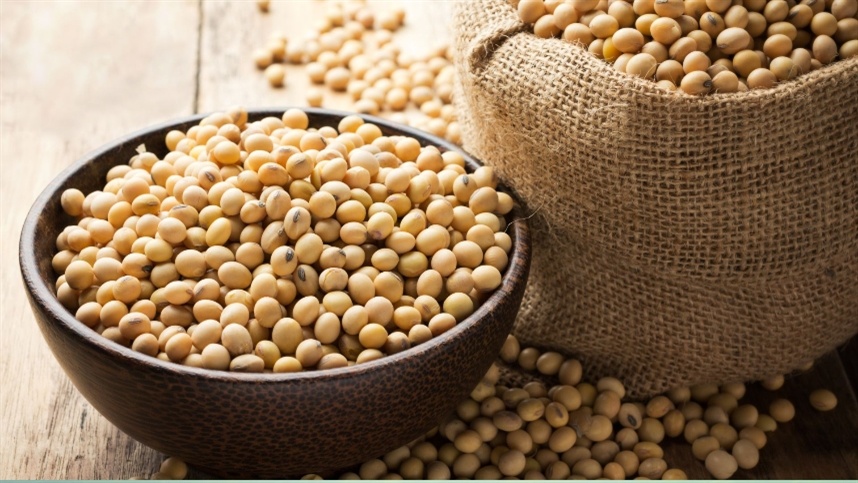 Mesmo com exportação recorde, soja brasileira convive com estoques elevados e pressão sobre preços.