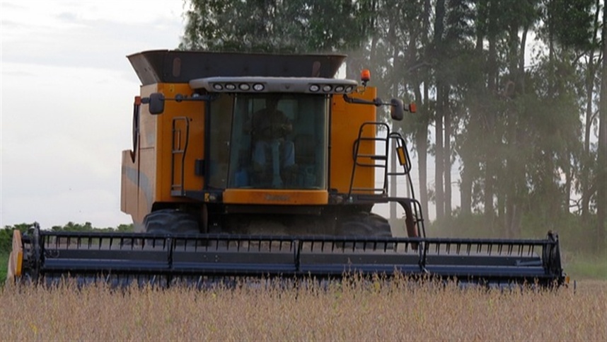 Com soja e milho em alta, Brasil colhe maior safra da história.