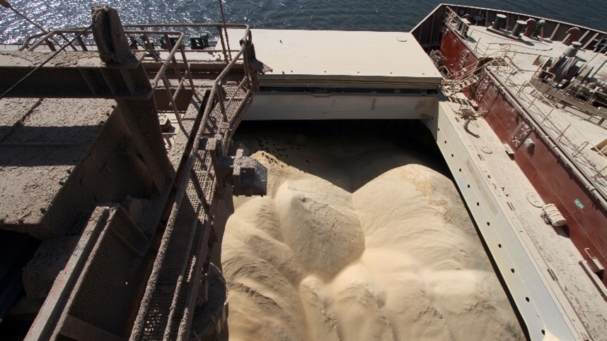 Tensões comerciais favorecem exportações de soja.