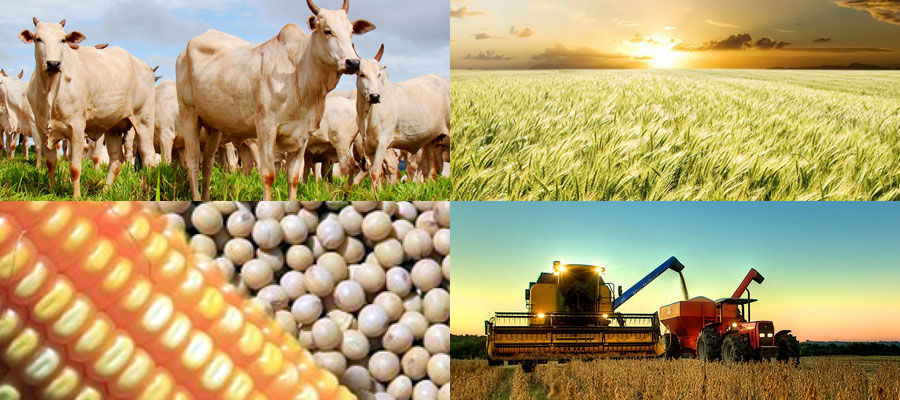 5 fatos do agro para acompanhar em junho
