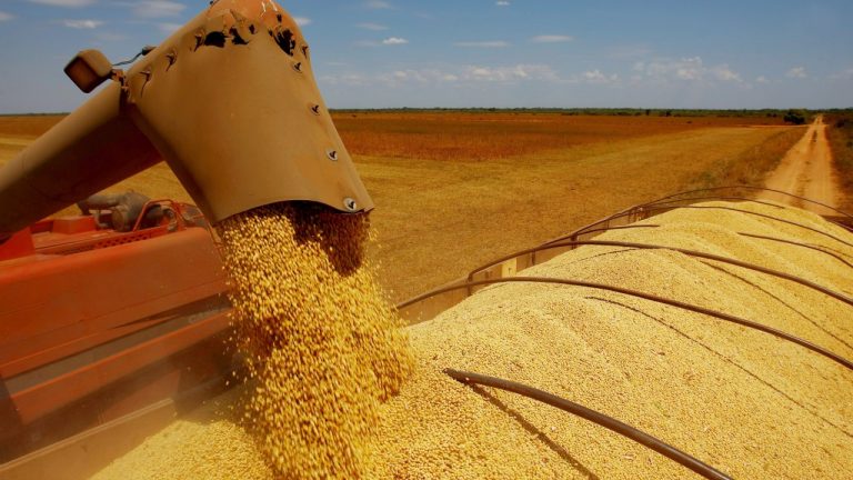 Exportações de soja serão recorde em 2021