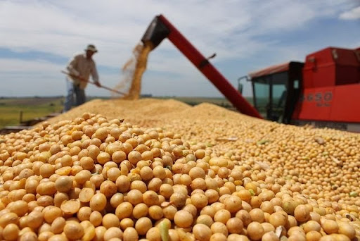 Soja: Portos do BR testam melhores níveis em mais de 1 mês nesta 4ª para safras velha e nova