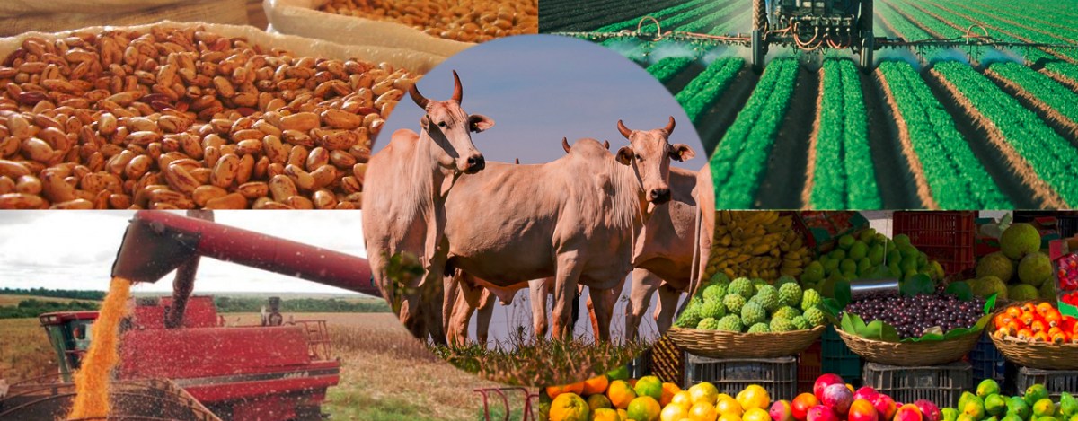 José Roberto Mendonça de Barros comenta as interferências da economia mundial no agronegócio Brasil